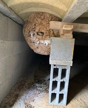 Gandolfi Frédéric image 8