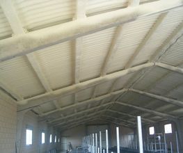 18230425-2-qJth7Fser11531900778590.jpeg