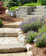 Dienstleistung GORGAS Bild 3