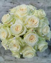 Magnolia Floristik Bild 3