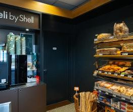 Shell Bild 14