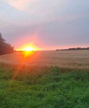 Law Offices of Patrick D Moren image 2