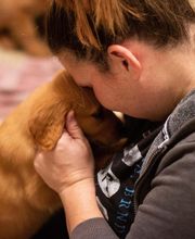 TotalBond Veterinary Hospital at Paw Creek image 1