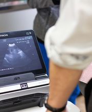 TotalBond Veterinary Hospital at Forestbrook image 7