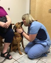 Deer Park Veterinary Hospital image 6