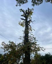 L.W.Espaceverts image 2