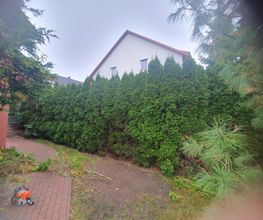 IMG-20241112-WA0004.jpg