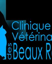 Clinique vétérinaire des Beaux Regards image 2