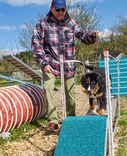 Hundeschule Guggisberg Bild 8