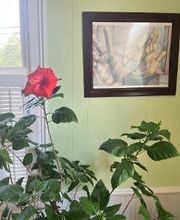 Summerville Flowertown Chiropractic image 14