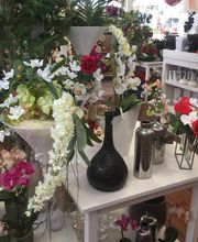 Jardinerie André image 7