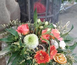 Passiflore image 10