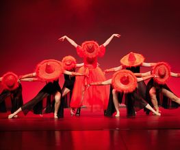 Verein TDC dance company & school Bild 5