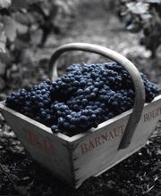 CHAMPAGNE BARNAUT image 11