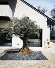 Heraud Teddy Paysages image 14