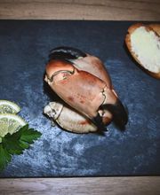 Maison Marc Daubert image 14