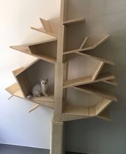 Thalmann Schreinerei AG Bild 10