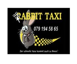 Rabbit-Taxi Bild 2
