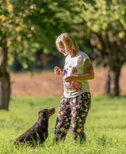 Glückliche Hundepfoten by Catrin Hendl-viel mehr als nur Hundetraining Bild 3