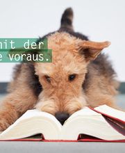 Sozietät Schindler + Kollegen GbR Bild 3