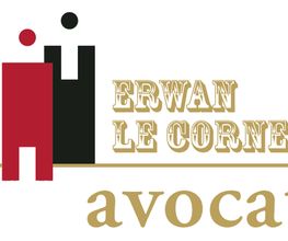 Erwan Le Cornec image 8
