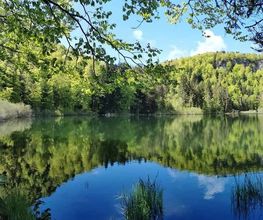 Camping de l’Abbaye image 6