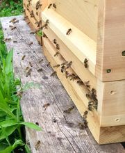 SaatGut Hassler Bild 8