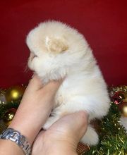 El Edén de Lilith imagen 6