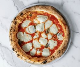 Papilla Milano immagine 18