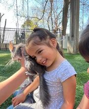 The Children's Center of New Milford, Inc image 13