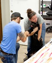 Wewoka Animal Hospital image 1