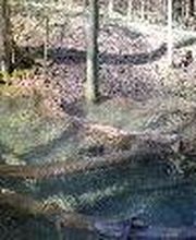 Campingplatz Kratzmühle Bild 6