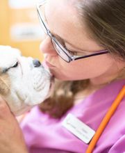 Sangaree Animal Hospital at Cane Bay image 15