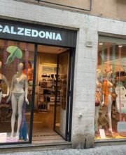 Calzedonia immagine 1