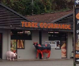 Terre Gourmande image 3