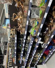 Tom&Co Chasse sur Rhône image 5