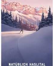 Schweizer Skischule Meiringen - Hasliberg Bild 10