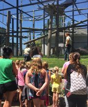 Chahinkapa Zoo image 1