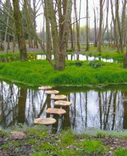 Saget Jean-Luc image 4