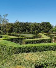 Alex Paysage image 6