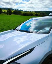 Isabelle Taxi image 5