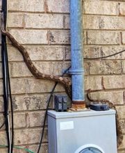 Critter Control image 18