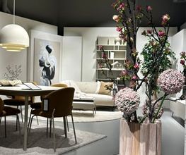 BoConcept Basel Bild 14