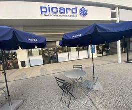 Picard image 3