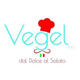 Vegel logo