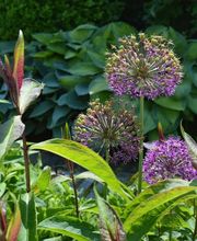 zehnder-garten GmbH Bild 12