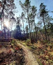 Naturopathe et coach sport santé - Frédéric Chevalier image 6