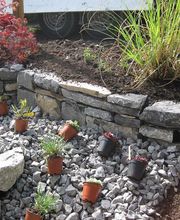 Baumpflege Dietrich GmbH Bild 5