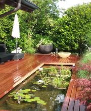 Thomas Kuster Gartenbau & Gartenpflege Bild 12