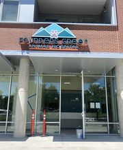 Founders Green Animal Hospital image 14